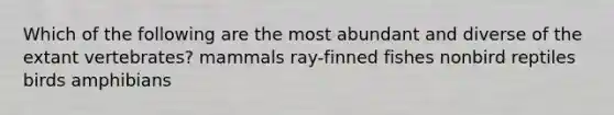 Which of the following are the most abundant and diverse of the extant vertebrates? mammals ray-finned fishes nonbird reptiles birds amphibians