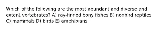 Which of the following are the most abundant and diverse and extent vertebrates? A) ray-finned bony fishes B) nonbird reptiles C) mammals D) birds E) amphibians
