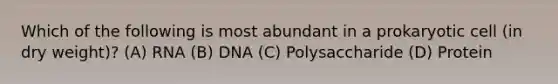 Which of the following is most abundant in a prokaryotic cell (in dry weight)? (A) RNA (B) DNA (C) Polysaccharide (D) Protein