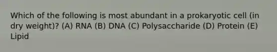 Which of the following is most abundant in a prokaryotic cell (in dry weight)? (A) RNA (B) DNA (C) Polysaccharide (D) Protein (E) Lipid