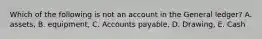 Which of the following is not an account in the General ledger? A. assets, B. equipment, C. Accounts payable, D. Drawing, E. Cash