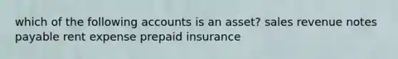 which of the following accounts is an asset? sales revenue notes payable rent expense prepaid insurance