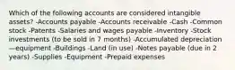 Which of the following accounts are considered intangible assets? -Accounts payable -Accounts receivable -Cash -Common stock -Patents -Salaries and wages payable -Inventory -Stock investments (to be sold in 7 months) -Accumulated depreciation—equipment -Buildings -Land (in use) -Notes payable (due in 2 years) -Supplies -Equipment -Prepaid expenses