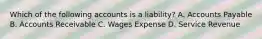 Which of the following accounts is a liability? A. Accounts Payable B. Accounts Receivable C. Wages Expense D. Service Revenue