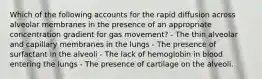 Which of the following accounts for the rapid diffusion across alveolar membranes in the presence of an appropriate concentration gradient for gas movement? - The thin alveolar and capillary membranes in the lungs - The presence of surfactant in the alveoli - The lack of hemoglobin in blood entering the lungs - The presence of cartilage on the alveoli.