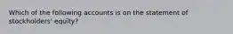 Which of the following accounts is on the statement of stockholders' equity?