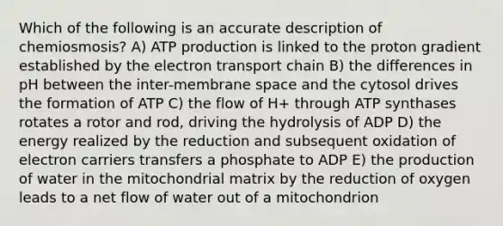 Which of the following is an accurate description of chemiosmosis? A) ATP production is linked to the proton gradient established by the electron transport chain B) the differences in pH between the inter-membrane space and the cytosol drives the formation of ATP C) the flow of H+ through ATP synthases rotates a rotor and rod, driving the hydrolysis of ADP D) the energy realized by the reduction and subsequent oxidation of electron carriers transfers a phosphate to ADP E) the production of water in the mitochondrial matrix by the reduction of oxygen leads to a net flow of water out of a mitochondrion