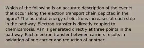 Which of the following is an accurate description of the events that occur along the electron transport chain depicted in the figure? The potential energy of electrons increases at each step in the pathway. Electron transfer is directly coupled to chemiosmosis. ATP is generated directly at three points in the pathway. Each electron transfer between carriers results in oxidation of one carrier and reduction of another.