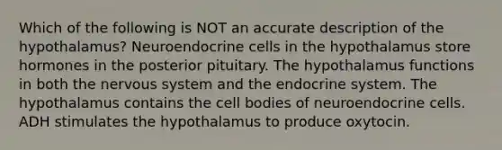 Which of the following is NOT an accurate description of the hypothalamus? Neuroendocrine cells in the hypothalamus store hormones in the posterior pituitary. The hypothalamus functions in both the nervous system and the endocrine system. The hypothalamus contains the cell bodies of neuroendocrine cells. ADH stimulates the hypothalamus to produce oxytocin.