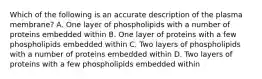 Which of the following is an accurate description of the plasma membrane? A. One layer of phospholipids with a number of proteins embedded within B. One layer of proteins with a few phospholipids embedded within C. Two layers of phospholipids with a number of proteins embedded within D. Two layers of proteins with a few phospholipids embedded within