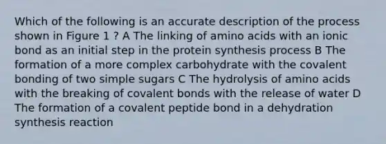 Which of the following is an accurate description of the process shown in Figure 1 ? A The linking of amino acids with an ionic bond as an initial step in the protein synthesis process B The formation of a more complex carbohydrate with the covalent bonding of two simple sugars C The hydrolysis of amino acids with the breaking of covalent bonds with the release of water D The formation of a covalent peptide bond in a dehydration synthesis reaction