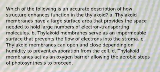 Which of the following is an accurate description of how structure enhances function in the thylakoid? a. Thylakoid membranes have a large surface area that provides the space needed to hold large numbers of electron-transporting molecules. b. Thylakoid membranes serve as an impermeable surface that prevents the flow of electrons into the stroma. c. Thylakoid membranes can open and close depending on humidity to prevent evaporation from the cell. d. Thylakoid membranes act as an oxygen barrier allowing the aerobic steps of photosynthesis to proceed.