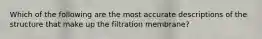 Which of the following are the most accurate descriptions of the structure that make up the filtration membrane?