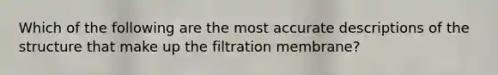 Which of the following are the most accurate descriptions of the structure that make up the filtration membrane?