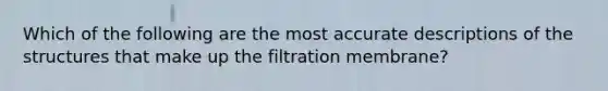 Which of the following are the most accurate descriptions of the structures that make up the filtration membrane?