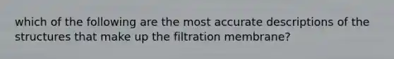 which of the following are the most accurate descriptions of the structures that make up the filtration membrane?