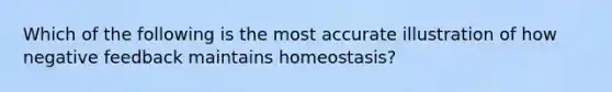 Which of the following is the most accurate illustration of how negative feedback maintains homeostasis?