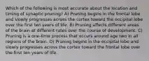 Which of the following is most accurate about the location and timing of synaptic pruning? A) Pruning begins in the frontal lobe and slowly progresses across the cortex toward the occipital lobe over the first ten years of life. B) Pruning affects different areas of the brain at different rates over the course of development. C) Pruning is a one-time process that occurs around age two in all regions of the brain. D) Pruning begins in the occipital lobe and slowly progresses across the cortex toward the frontal lobe over the first ten years of life.