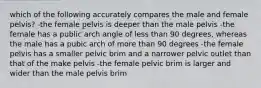 which of the following accurately compares the male and female pelvis? -the female pelvis is deeper than the male pelvis -the female has a public arch angle of less than 90 degrees, whereas the male has a pubic arch of more than 90 degrees -the female pelvis has a smaller pelvic brim and a narrower pelvic outlet than that of the make pelvis -the female pelvic brim is larger and wider than the male pelvis brim