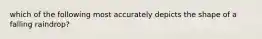 which of the following most accurately depicts the shape of a falling raindrop?