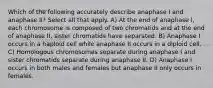 Which of the following accurately describe anaphase I and anaphase II? Select all that apply. A) At the end of anaphase I, each chromosome is composed of two chromatids and at the end of anaphase II, sister chromatids have separated. B) Anaphase I occurs in a haploid cell while anaphase II occurs in a diploid cell. C) Homologous chromosomes separate during anaphase I and sister chromatids separate during anaphase II. D) Anaphase I occurs in both males and females but anaphase II only occurs in females.