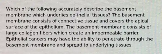 Which of the following accurately describe the basement membrane which underlies epithelial tissues? The basement membrane consists of connective tissue and covers the apical surface of the epithelium. The basement membrane consists of large collagen fibers which create an impermeable barrier. Epithelial cancers may have the ability to penetrate through the basement membrane and spread to underlying tissues.