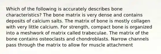 Which of the following is accurately describes bone characteristics? The bone matrix is very dense and contains deposits of calcium salts. The matrix of bone is mostly collagen with very little calcium. For strength, compact bone is organized into a meshwork of matrix called trabeculae. The matrix of the bone contains osteoclasts and chondroblasts. Narrow channels pass through the matrix to allow for muscle attachment