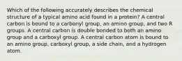 Which of the following accurately describes the chemical structure of a typical amino acid found in a protein? A central carbon is bound to a carbonyl group, an amino group, and two R groups. A central carbon is double bonded to both an amino group and a carboxyl group. A central carbon atom is bound to an amino group, carboxyl group, a side chain, and a hydrogen atom.