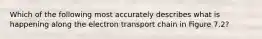 Which of the following most accurately describes what is happening along the electron transport chain in Figure 7.2?