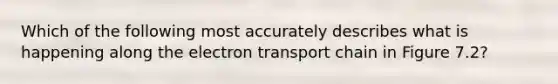 Which of the following most accurately describes what is happening along the electron transport chain in Figure 7.2?