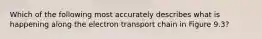 Which of the following most accurately describes what is happening along the electron transport chain in Figure 9.3?