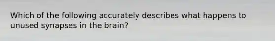 Which of the following accurately describes what happens to unused synapses in the brain?