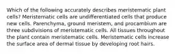 Which of the following accurately describes meristematic plant cells? Meristematic cells are undifferentiated cells that produce new cells. Parenchyma, ground meristem, and procambium are three subdivisions of meristematic cells. All tissues throughout the plant contain meristematic cells. Meristematic cells increase the surface area of dermal tissue by developing root hairs.