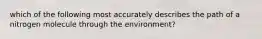 which of the following most accurately describes the path of a nitrogen molecule through the environment?