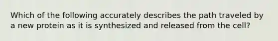 Which of the following accurately describes the path traveled by a new protein as it is synthesized and released from the cell?