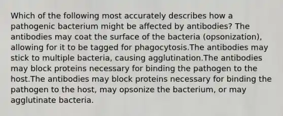 Which of the following most accurately describes how a pathogenic bacterium might be affected by antibodies? The antibodies may coat the surface of the bacteria (opsonization), allowing for it to be tagged for phagocytosis.The antibodies may stick to multiple bacteria, causing agglutination.The antibodies may block proteins necessary for binding the pathogen to the host.The antibodies may block proteins necessary for binding the pathogen to the host, may opsonize the bacterium, or may agglutinate bacteria.