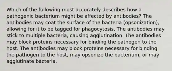 Which of the following most accurately describes how a pathogenic bacterium might be affected by antibodies? The antibodies may coat the surface of the bacteria (opsonization), allowing for it to be tagged for phagocytosis. The antibodies may stick to multiple bacteria, causing agglutination. The antibodies may block proteins necessary for binding the pathogen to the host. The antibodies may block proteins necessary for binding the pathogen to the host, may opsonize the bacterium, or may agglutinate bacteria.