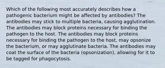 Which of the following most accurately describes how a pathogenic bacterium might be affected by antibodies? The antibodies may stick to multiple bacteria, causing agglutination. The antibodies may block proteins necessary for binding the pathogen to the host. The antibodies may block proteins necessary for binding the pathogen to the host, may opsonize the bacterium, or may agglutinate bacteria. The antibodies may coat the surface of the bacteria (opsonization), allowing for it to be tagged for phagocytosis.