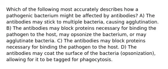 Which of the following most accurately describes how a pathogenic bacterium might be affected by antibodies? A) The antibodies may stick to multiple bacteria, causing agglutination. B) The antibodies may block proteins necessary for binding the pathogen to the host, may opsonize the bacterium, or may agglutinate bacteria. C) The antibodies may block proteins necessary for binding the pathogen to the host. D) The antibodies may coat the surface of the bacteria (opsonization), allowing for it to be tagged for phagocytosis.