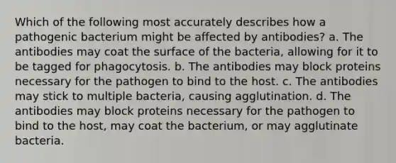 Which of the following most accurately describes how a pathogenic bacterium might be affected by antibodies? a. The antibodies may coat the surface of the bacteria, allowing for it to be tagged for phagocytosis. b. The antibodies may block proteins necessary for the pathogen to bind to the host. c. The antibodies may stick to multiple bacteria, causing agglutination. d. The antibodies may block proteins necessary for the pathogen to bind to the host, may coat the bacterium, or may agglutinate bacteria.