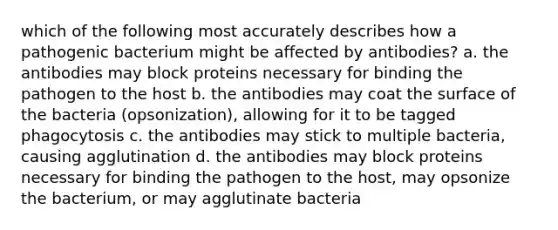 which of the following most accurately describes how a pathogenic bacterium might be affected by antibodies? a. the antibodies may block proteins necessary for binding the pathogen to the host b. the antibodies may coat the surface of the bacteria (opsonization), allowing for it to be tagged phagocytosis c. the antibodies may stick to multiple bacteria, causing agglutination d. the antibodies may block proteins necessary for binding the pathogen to the host, may opsonize the bacterium, or may agglutinate bacteria