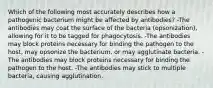 Which of the following most accurately describes how a pathogenic bacterium might be affected by antibodies? -The antibodies may coat the surface of the bacteria (opsonization), allowing for it to be tagged for phagocytosis. -The antibodies may block proteins necessary for binding the pathogen to the host, may opsonize the bacterium, or may agglutinate bacteria. -The antibodies may block proteins necessary for binding the pathogen to the host. -The antibodies may stick to multiple bacteria, causing agglutination.