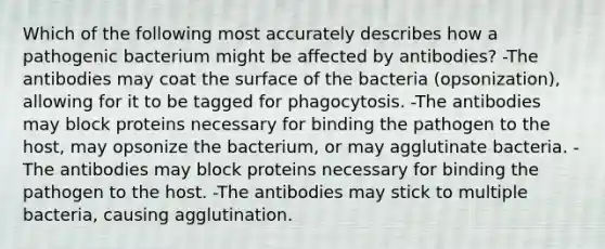 Which of the following most accurately describes how a pathogenic bacterium might be affected by antibodies? -The antibodies may coat the surface of the bacteria (opsonization), allowing for it to be tagged for phagocytosis. -The antibodies may block proteins necessary for binding the pathogen to the host, may opsonize the bacterium, or may agglutinate bacteria. -The antibodies may block proteins necessary for binding the pathogen to the host. -The antibodies may stick to multiple bacteria, causing agglutination.