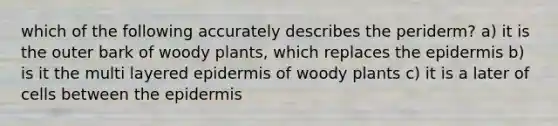 which of the following accurately describes the periderm? a) it is the outer bark of woody plants, which replaces the epidermis b) is it the multi layered epidermis of woody plants c) it is a later of cells between the epidermis