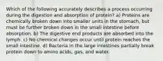 Which of the following accurately describes a process occurring during the digestion and absorption of protein? a) Proteins are chemically broken down into smaller units in the stomach, but must be further broken down in the small intestine before absorption. b) The digestive end products are absorbed into the lymph. c) No chemical changes occur until protein reaches the small intestine. d) Bacteria in the large intestines partially break protein down to amino acids, gas, and water.