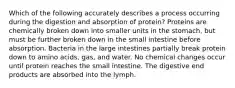 Which of the following accurately describes a process occurring during the digestion and absorption of protein? Proteins are chemically broken down into smaller units in the stomach, but must be further broken down in the small intestine before absorption. Bacteria in the large intestines partially break protein down to amino acids, gas, and water. No chemical changes occur until protein reaches the small intestine. The digestive end products are absorbed into the lymph.