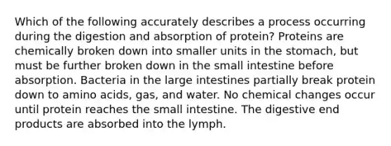 Which of the following accurately describes a process occurring during the digestion and absorption of protein? Proteins are chemically broken down into smaller units in <a href='https://www.questionai.com/knowledge/kLccSGjkt8-the-stomach' class='anchor-knowledge'>the stomach</a>, but must be further broken down in <a href='https://www.questionai.com/knowledge/kt623fh5xn-the-small-intestine' class='anchor-knowledge'>the small intestine</a> before absorption. Bacteria in the large intestines partially break protein down to amino acids, gas, and water. No chemical changes occur until protein reaches the small intestine. The digestive end products are absorbed into the lymph.