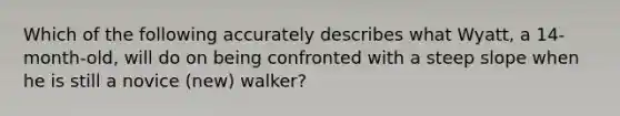 Which of the following accurately describes what Wyatt, a 14-month-old, will do on being confronted with a steep slope when he is still a novice (new) walker?