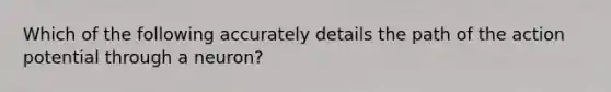 Which of the following accurately details the path of the action potential through a neuron?