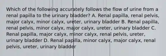 Which of the following accurately follows the flow of urine from a renal papilla to the urinary bladder? A. Renal papilla, renal pelvis, major calyx, minor calyx, ureter, urinary bladder B. Renal papilla, renal pelvis, minor calyx, major calyx, ureter, urinary bladder C. Renal papilla, major calyx, minor calyx, renal pelvis, ureter, urinary bladder D. Renal papilla, minor calyx, major calyx, renal pelvis, ureter, urinary bladder